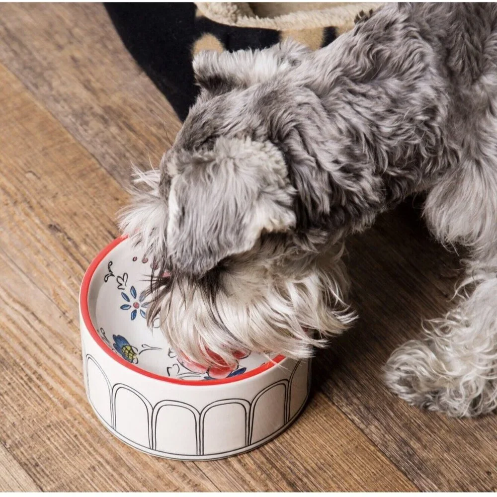 Molly Hatch Peony Floral Ceramic Dog Bowl 6